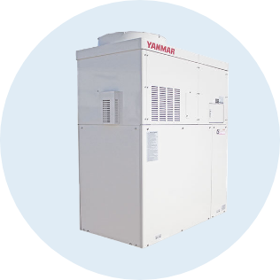 Combined Heat and Power (CHP) Systems